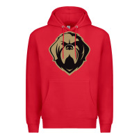 Red the-newfoundland-growlers-pen Premium Hoodie - linhVisuals