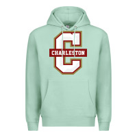 Seafoam the charleston cougars Premium Hoodie - linhVisuals