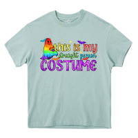 Arona This is my straight person costume pride LGBTQ Heavy Core Tee - BundleAndBundleShop