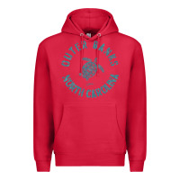 Cardinal jcombs outer banks, nc, sea turtle hoodie Premium Hoodie - linhVisuals