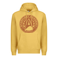 Antique Gold star fleet academy dropout stars trekie trek geek Premium Hoodie - linhVisuals