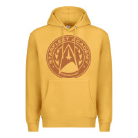 Mustard star fleet academy dropout stars trekie trek geek Premium Hoodie - linhVisuals