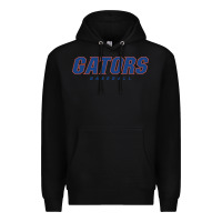 Black GATORS BASEBALL Premium Hoodie - linhVisuals