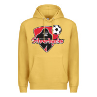 Atlanta Silverbacks Premium Hoodie | Teevron