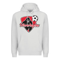 Dove Grey atlanta silverbacks Premium Hoodie - linhVisuals