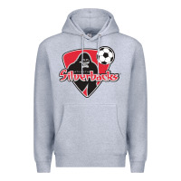Heather Grey atlanta silverbacks Premium Hoodie - linhVisuals
