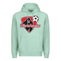 Seafoam atlanta silverbacks Premium Hoodie - linhVisuals