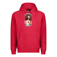 Cardinal it should have been lars Premium Hoodie - linhVisuals