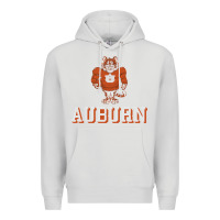 Dove Grey auburn tigers 02 Premium Hoodie - linhVisuals