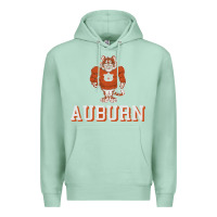 Seafoam auburn tigers 02 Premium Hoodie - linhVisuals