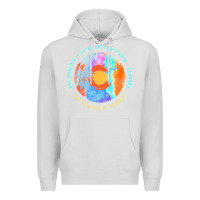 Dove Grey bal harbour t  shirt bal harbour, miami  dade county, florida t  shirt Premium Hoodie - linhVisuals