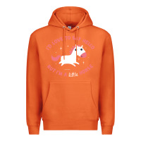 Carrot i'm a little horse Premium Hoodie - linhVisuals