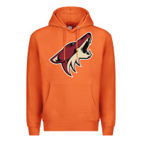 Carrot the-coyotes-of-arizona-sporst Premium Hoodie - linhVisuals