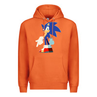 Carrot Söniĉ Kids Premium Hoodie - linhVisuals