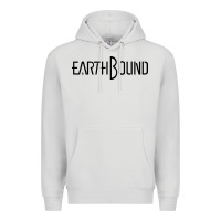Dove Grey Earthbound Premium Hoodie - linhVisuals