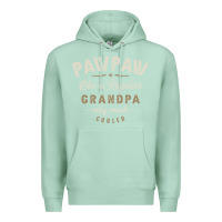 Seafoam Mens Pawpaw Like a Regular Grandpa Funny Fathers Day Premium Hoodie - linhVisuals