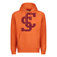 Carrot santa clara br Premium Hoodie - linhVisuals
