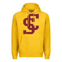 Lemon santa clara br Premium Hoodie - linhVisuals