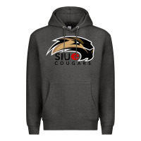 Charcoal Heather siu edwardsville Premium Hoodie - linhVisuals