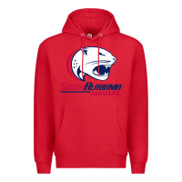 Red south alabam Premium Hoodie - linhVisuals