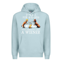 Blue Mist it's all fun and games until someone loses a wiener shirt Premium Hoodie - linhVisuals