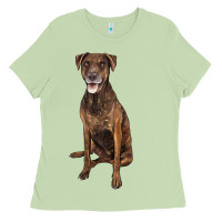 Matcha plott hound Ladies Tee - LillyAllenDesigns