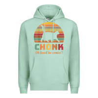 Seafoam chonk cat scale meme retro oh lawd he comin' memes t shirt Premium Hoodie - linhVisuals