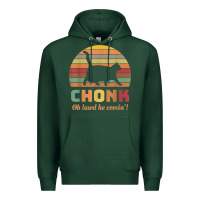 Sports Green chonk cat scale meme retro oh lawd he comin' memes t shirt Premium Hoodie - linhVisuals