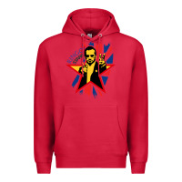 Cardinal ringo starr music concert Premium Hoodie - linhVisuals