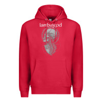 Cardinal lamb of god music concert Premium Hoodie - linhVisuals