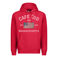 Cardinal cape cod massachusetts american flag usa travel vintage pullover hoodi Premium Hoodie - linhVisuals