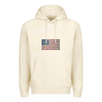 Sandshell cape cod massachusetts american flag usa travel vintage pullover hoodi Premium Hoodie - linhVisuals