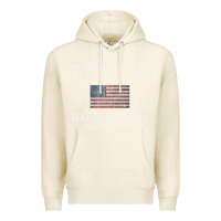 Tofu cape cod massachusetts american flag usa travel vintage pullover hoodi Premium Hoodie - linhVisuals