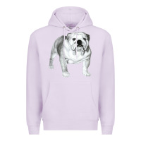 Lilac English Bulldog Art Premium Hoodie - linhVisuals