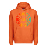 Carrot i wish a karen would t shirt Premium Hoodie - linhVisuals
