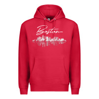 Cardinal boston skyline t shirt for women, men, girls & boys Premium Hoodie - linhVisuals