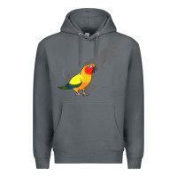 Rock cute screaming parrot, birb memes, funny t rex sun conure t shirt Premium Hoodie - linhVisuals