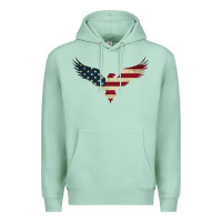 Seafoam bald eagle  america Premium Hoodie - linhVisuals