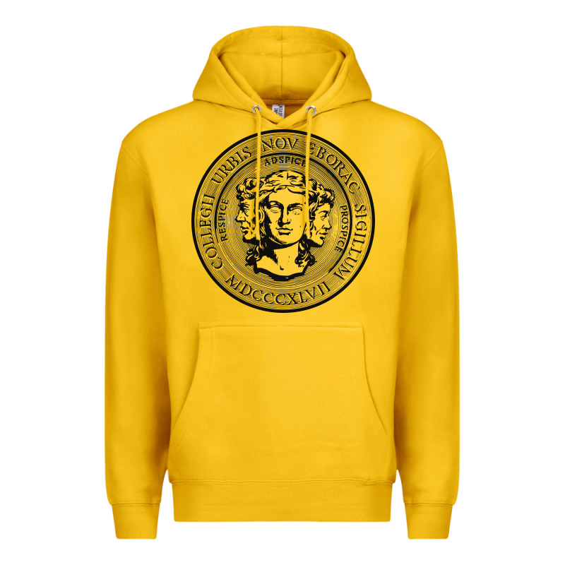 City College Of New York Seal Premium Hoodie by linhVisuals | Teevron