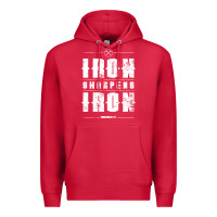 Cardinal iron sharpens iron proverbs christian bible verse religious pullover h Premium Hoodie - linhVisuals