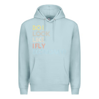 Blue Mist do i look like i fly economy   funny vintage retro premium t shirt Premium Hoodie - linhVisuals