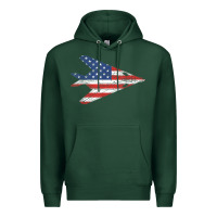 Sports Green f 117 stealth nighthawk aircraft american flag f117 t shirt Premium Hoodie - linhVisuals