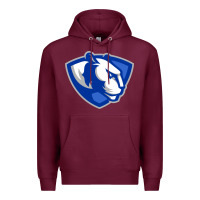 Burgundy The eastern illinois panthers Premium Hoodie - linhVisuals