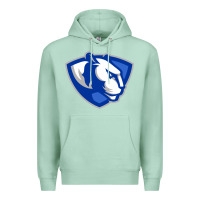 Seafoam The eastern illinois panthers Premium Hoodie - linhVisuals