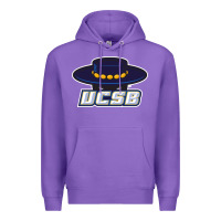 Purple The uc santa barbara gauchos Premium Hoodie - linhVisuals