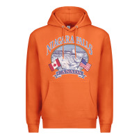 Carrot americana niagara falls scene canada america flags sweatshirt Premium Hoodie - linhVisuals