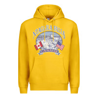 Lemon americana niagara falls scene canada america flags sweatshirt Premium Hoodie - linhVisuals