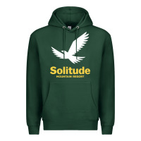 Sports Green Solitude Mountain Resort Premium Hoodie - linhVisuals