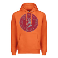 Carrot stevens institute of technology Premium Hoodie - linhVisuals