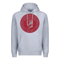 Heather Grey stevens institute of technology Premium Hoodie - linhVisuals